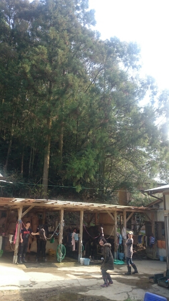 b0187620_22175139.jpg