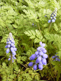 f0036223_10154541.jpg