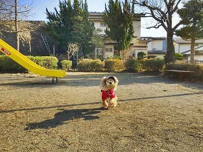 f0326925_23042053.gif