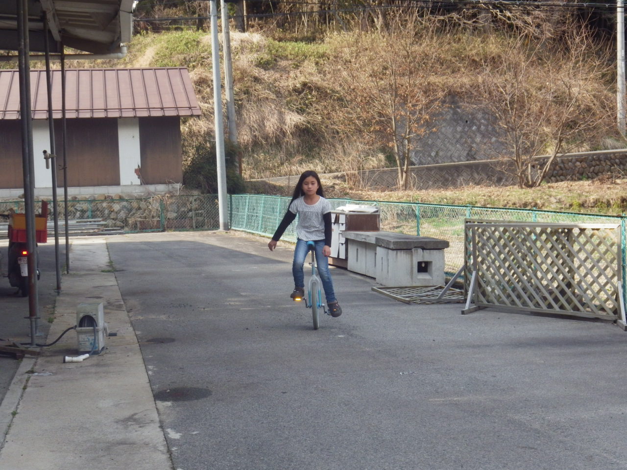 c0300035_1673259.jpg