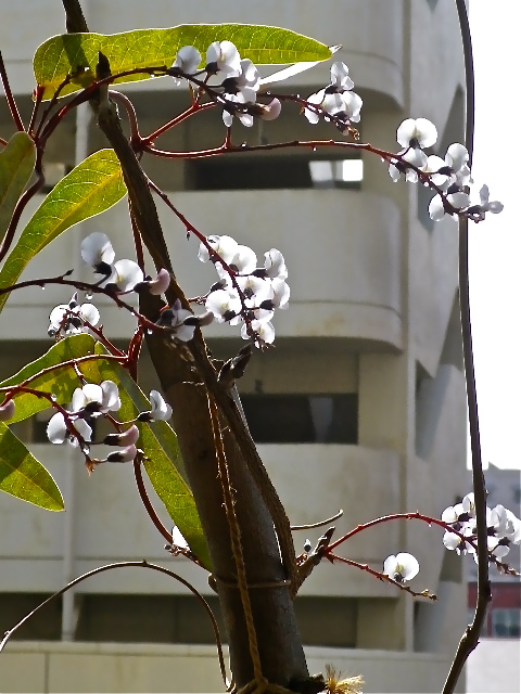b0027736_13565223.jpg