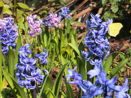f0234936_912048.jpg