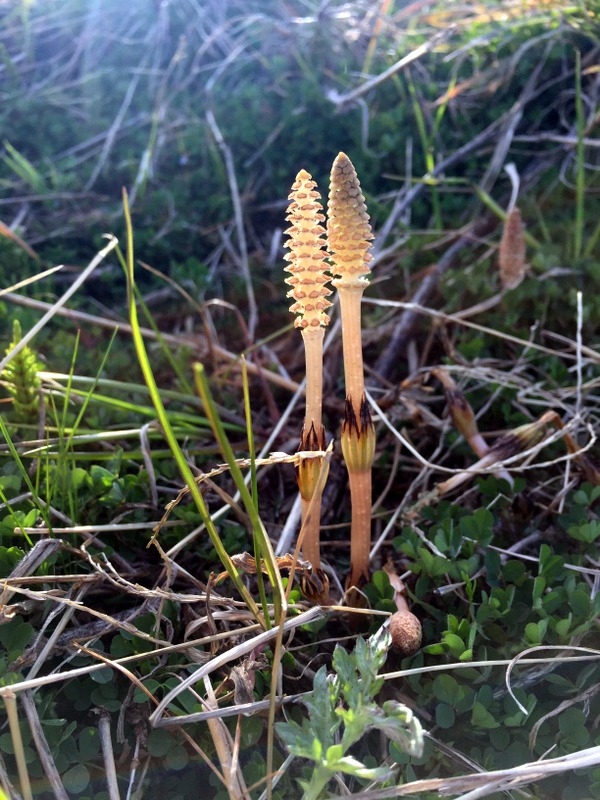 b0057140_2311171.jpg