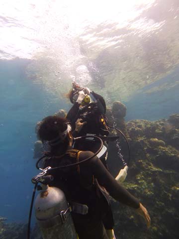 f0014842_1591438.jpg
