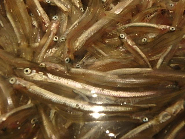 f0334143_21502743.jpg
