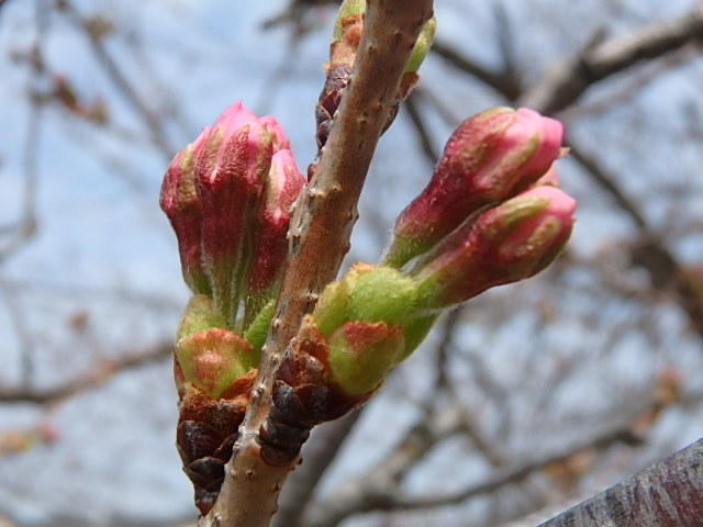f0334143_2152064.jpg