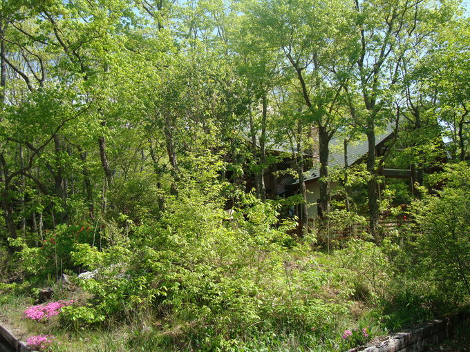 f0198556_16595955.jpg