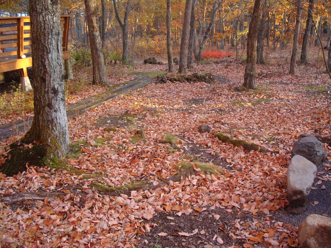 f0198556_1755212.jpg