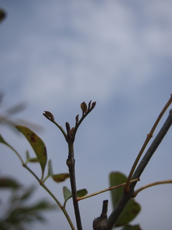 b0246758_21023994.jpg