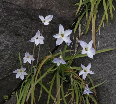 a0248459_18543006.jpg