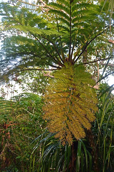 c0043361_1552159.jpg