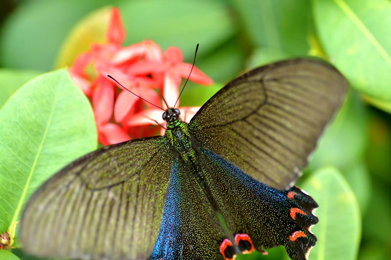 c0043361_155792.jpg