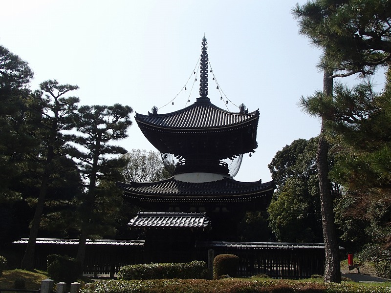 b0044663_23255535.jpg