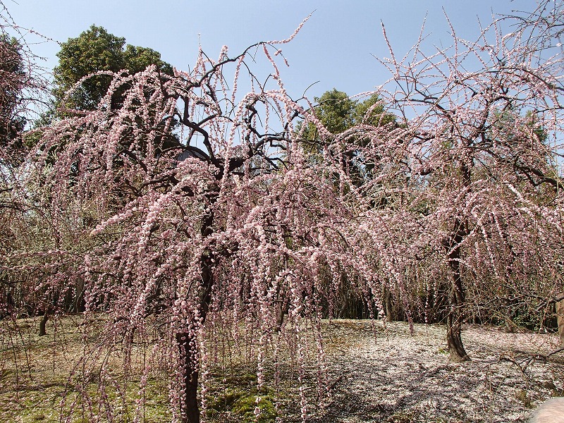 b0044663_23263740.jpg