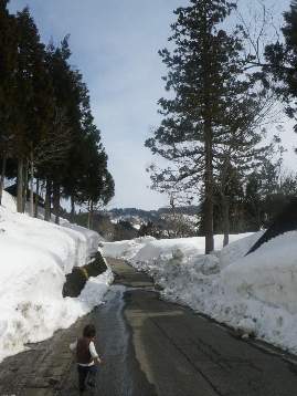 b0079965_655672.jpg