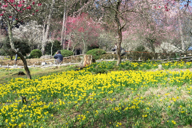 b0055171_16242440.jpg