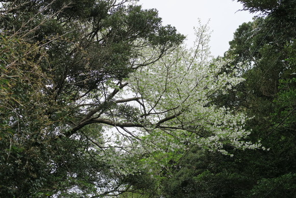 e0292172_2105560.jpg