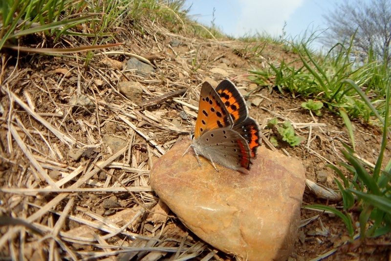 f0031682_17480112.jpg