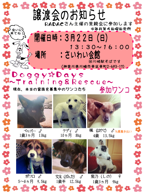 c0351089_19552484.png