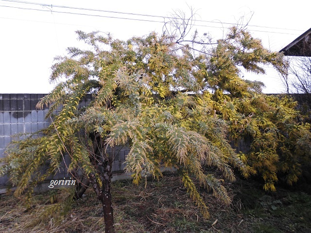 f0202291_9424873.jpg