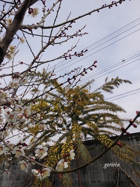f0202291_9475716.jpg