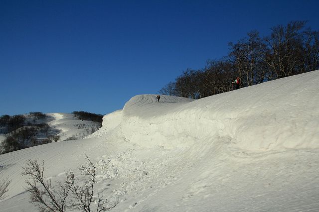 e0137200_19503499.jpg