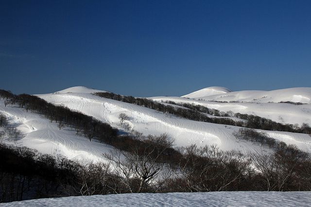 e0137200_19505864.jpg