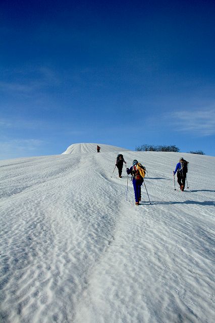 e0137200_19511062.jpg