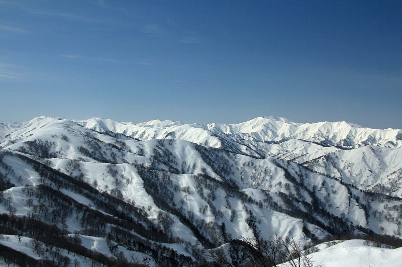 e0137200_19522561.jpg
