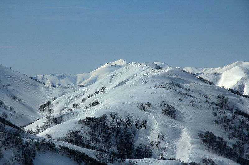 e0137200_19524068.jpg
