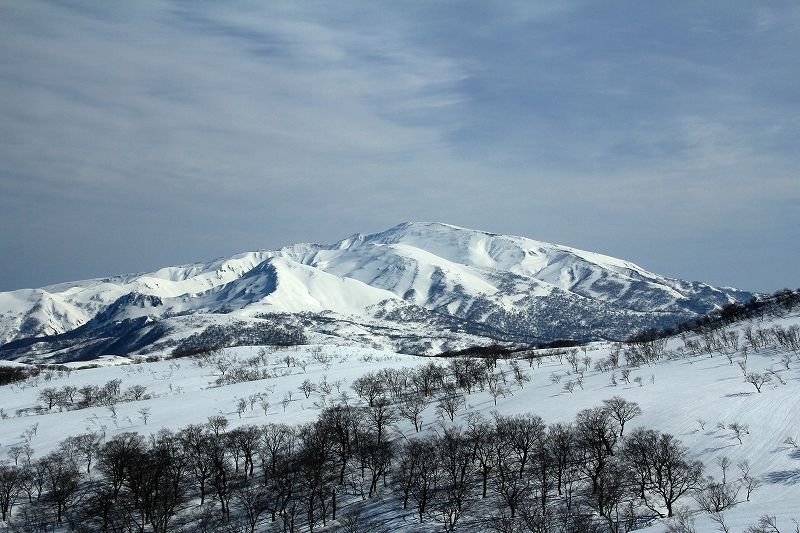 e0137200_19533310.jpg