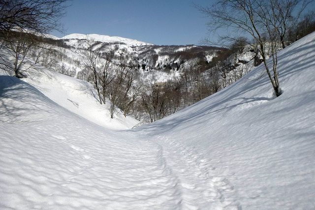 e0137200_2001676.jpg