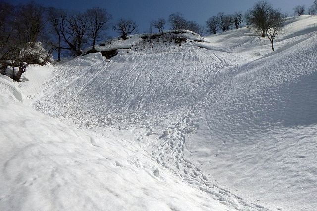 e0137200_200491.jpg