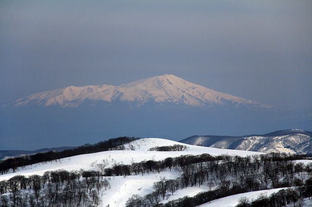 e0137200_2328196.jpg