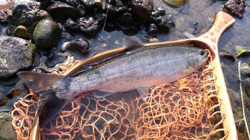 f0266202_1653214.jpg