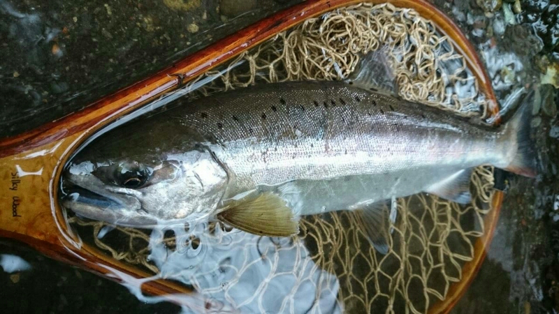 f0266202_17541329.jpg