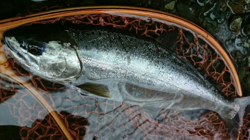 f0266202_17542267.jpg