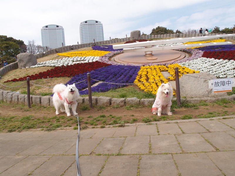 e0018604_20070258.jpg