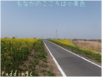 e0320808_19352843.jpg