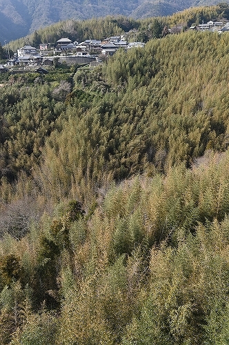 c0168815_00080846.jpg