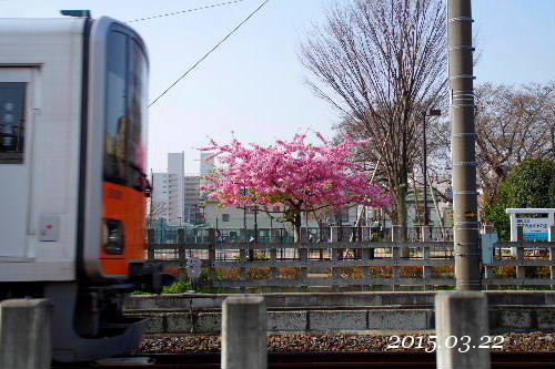 f0212217_22513749.jpg