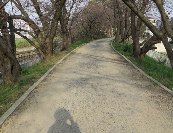 c0280322_22592817.jpg