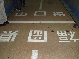 b0008825_9133945.jpg
