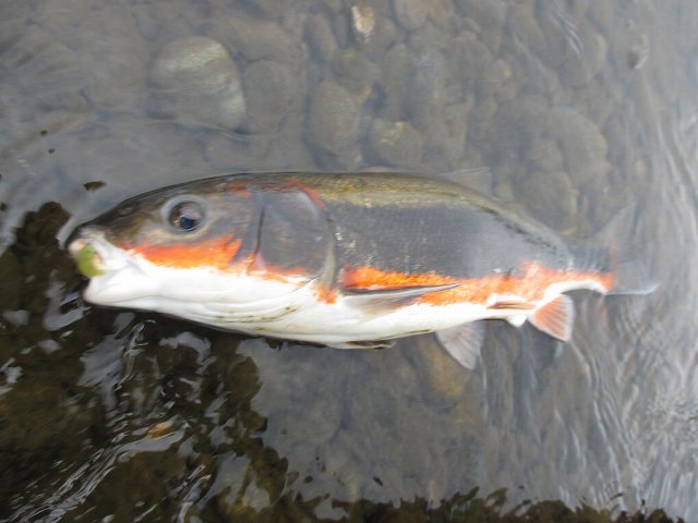 f0321433_21503103.jpg