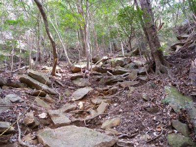 e0272335_10434371.jpg