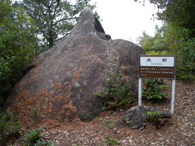 e0272335_442876.jpg