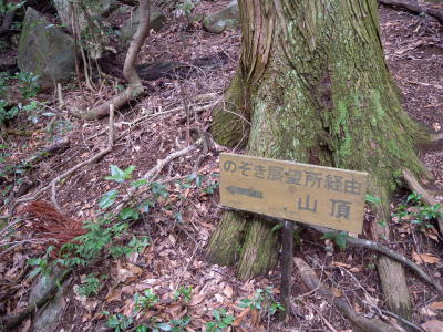 e0272335_454289.jpg