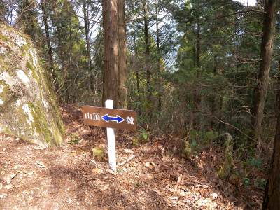e0272335_534977.jpg