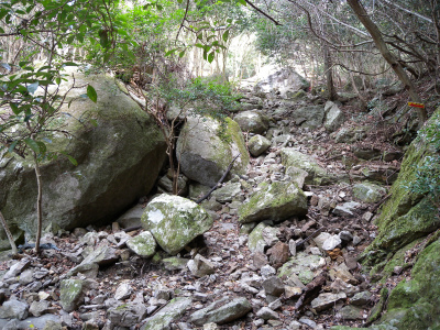 e0272335_547273.jpg