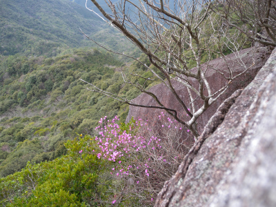 e0272335_575265.jpg